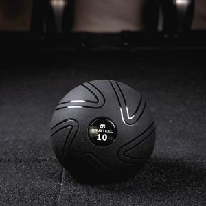 Купить Мяч для кроссфита EVO SLAMBALL 10 кг в Горнозаводске 